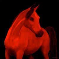 MALDOVA   Peinture animalière, art animalier, peintre tableau animal, cheval, ours, élephant, chien sur toile et décoration par Thierry Bisch 